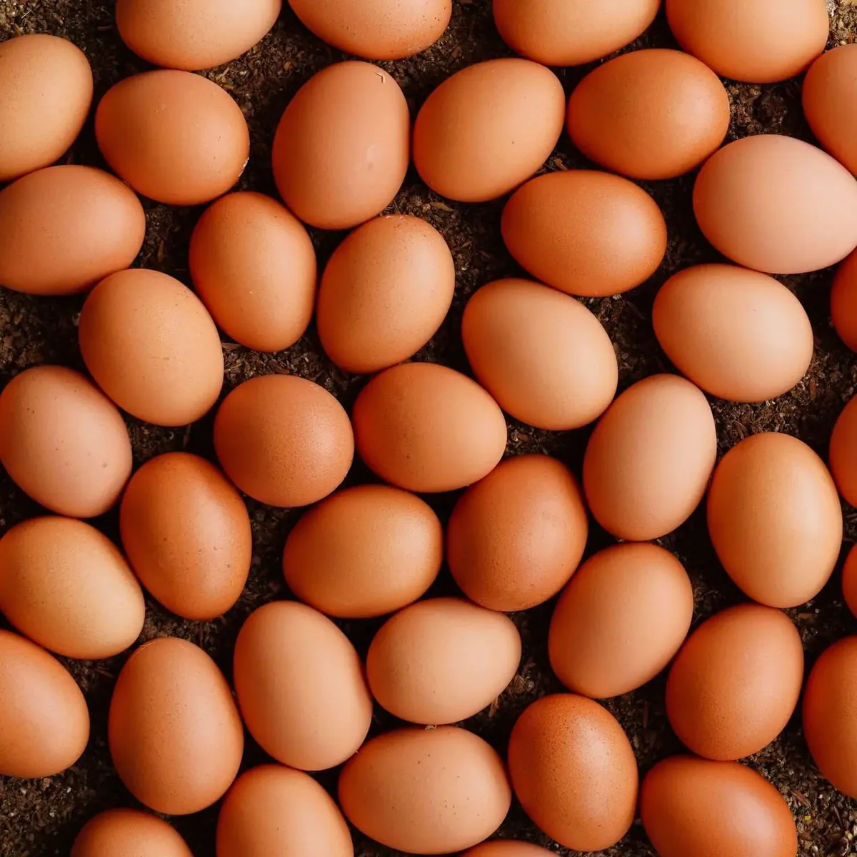 Organizador Huevos Deslizante Plástico Antigoteo 21 Huevos