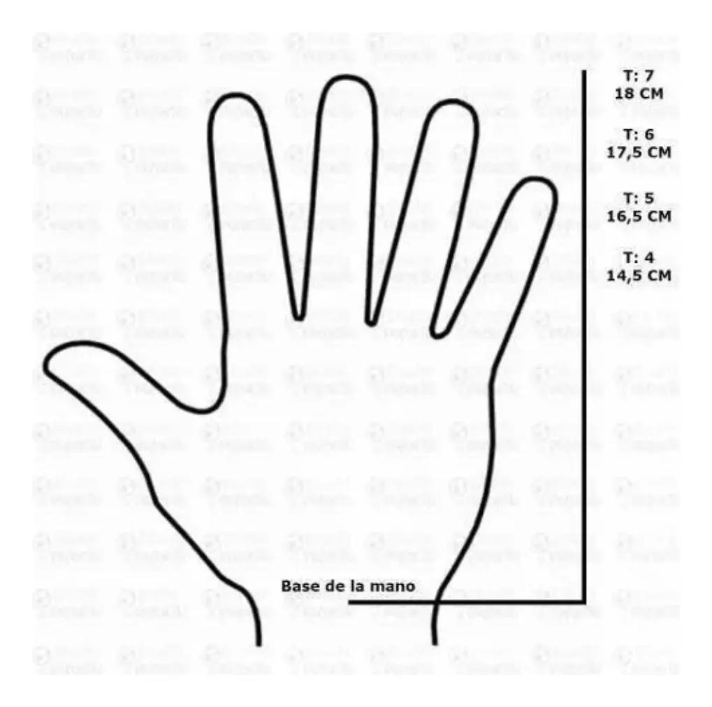 Guantes De Arquero Drb Argentina Afa Niño Talle 5 Y 6